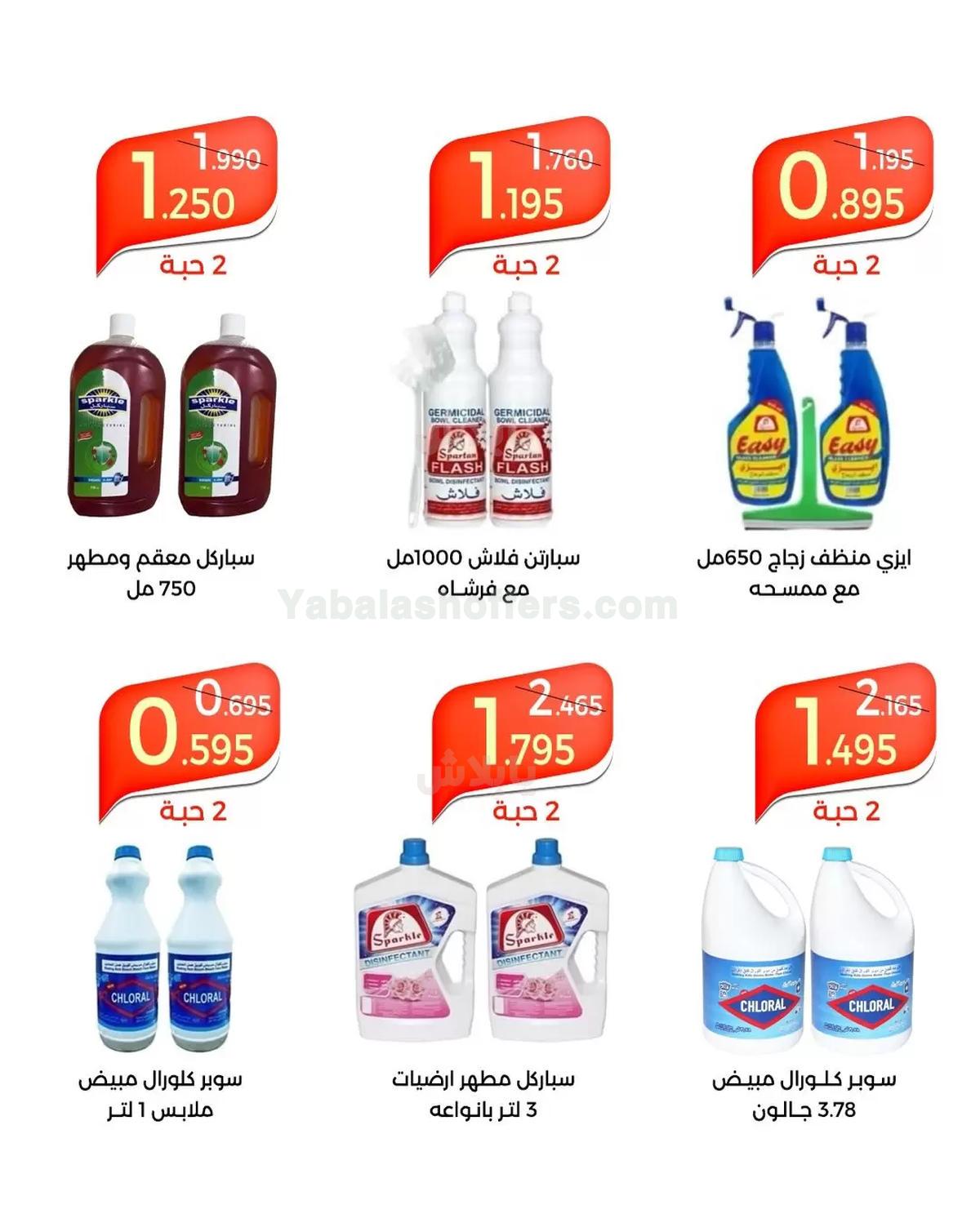 صفحة 8