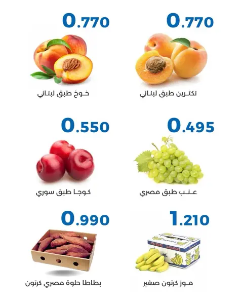 صفحة 5