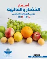 صفحة 9