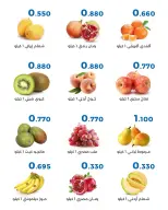 صفحة 13