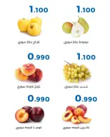 صفحة 15