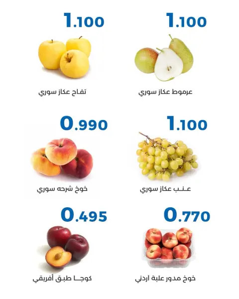 صفحة 8