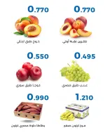 صفحة 13