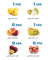 صفحة 15