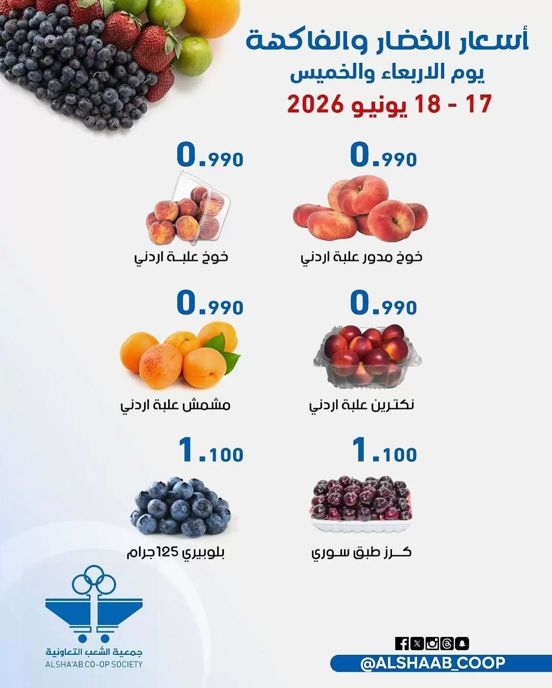 صفحة 4