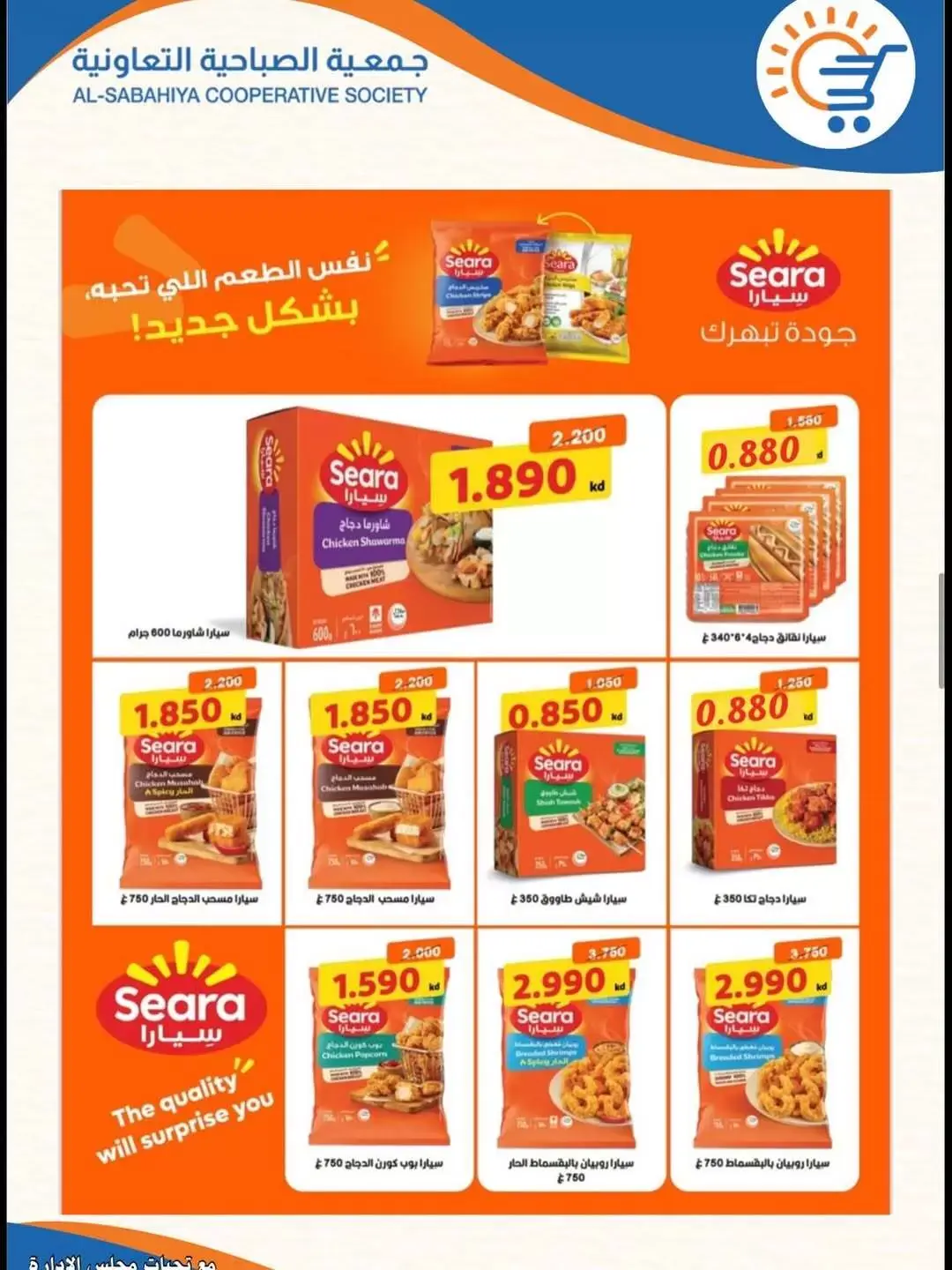 صفحة 13