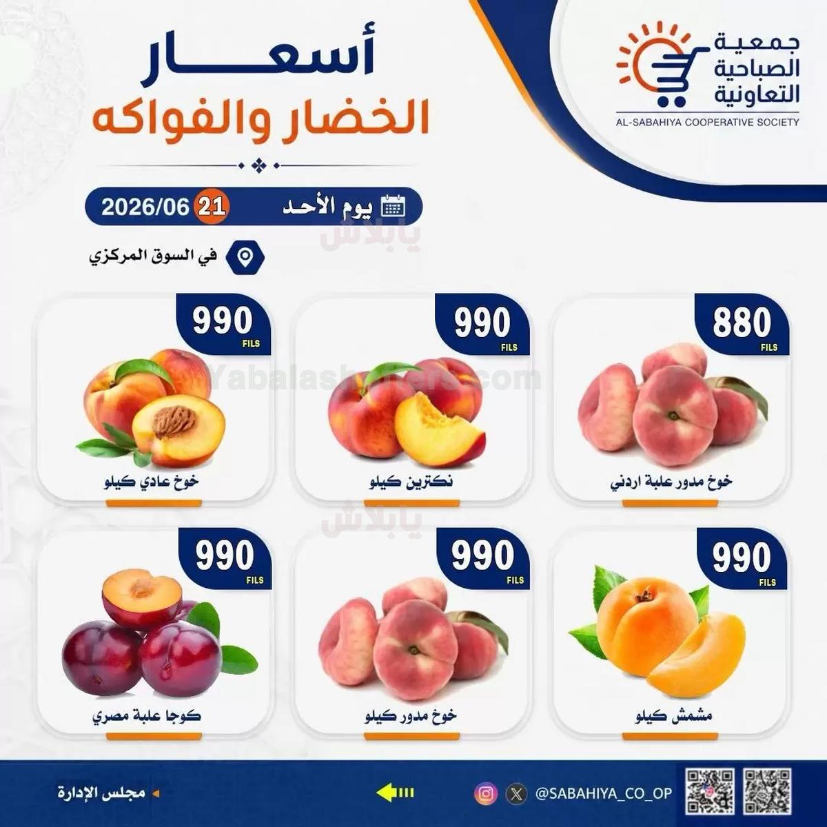 صفحة 7