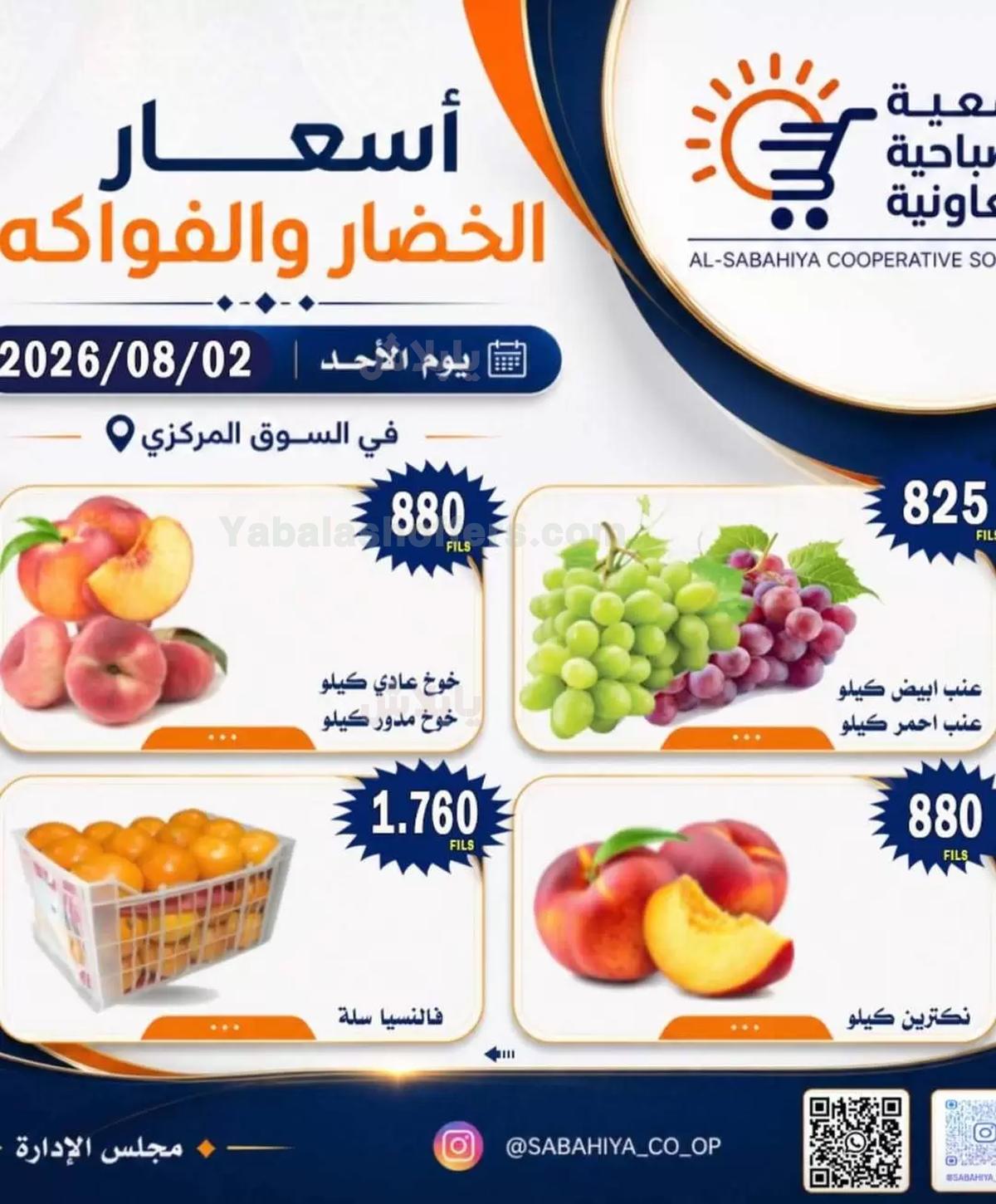 صفحة 10