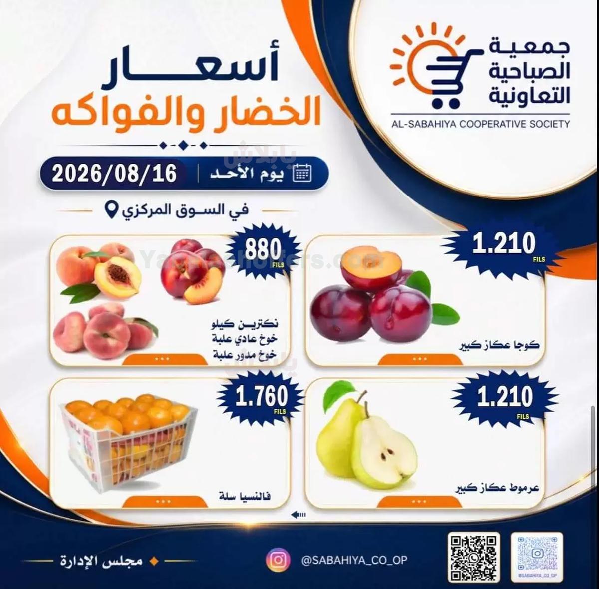 صفحة 10