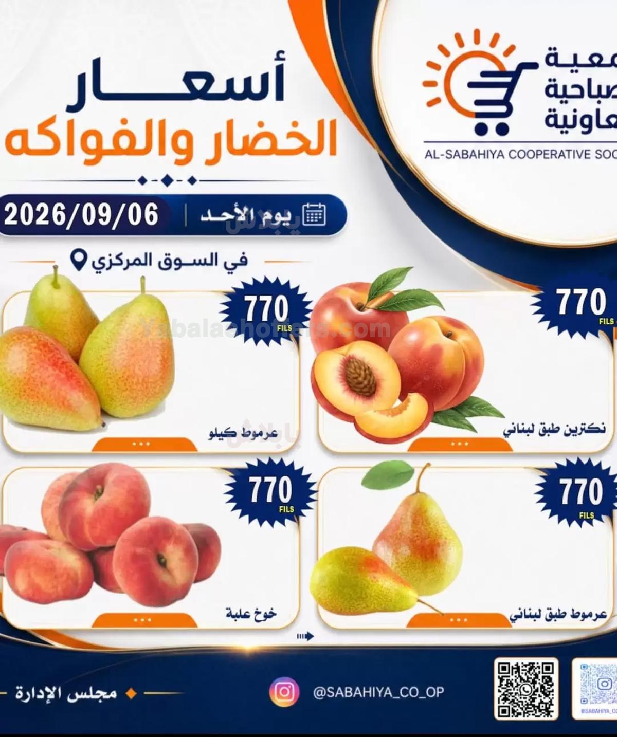 صفحة 8