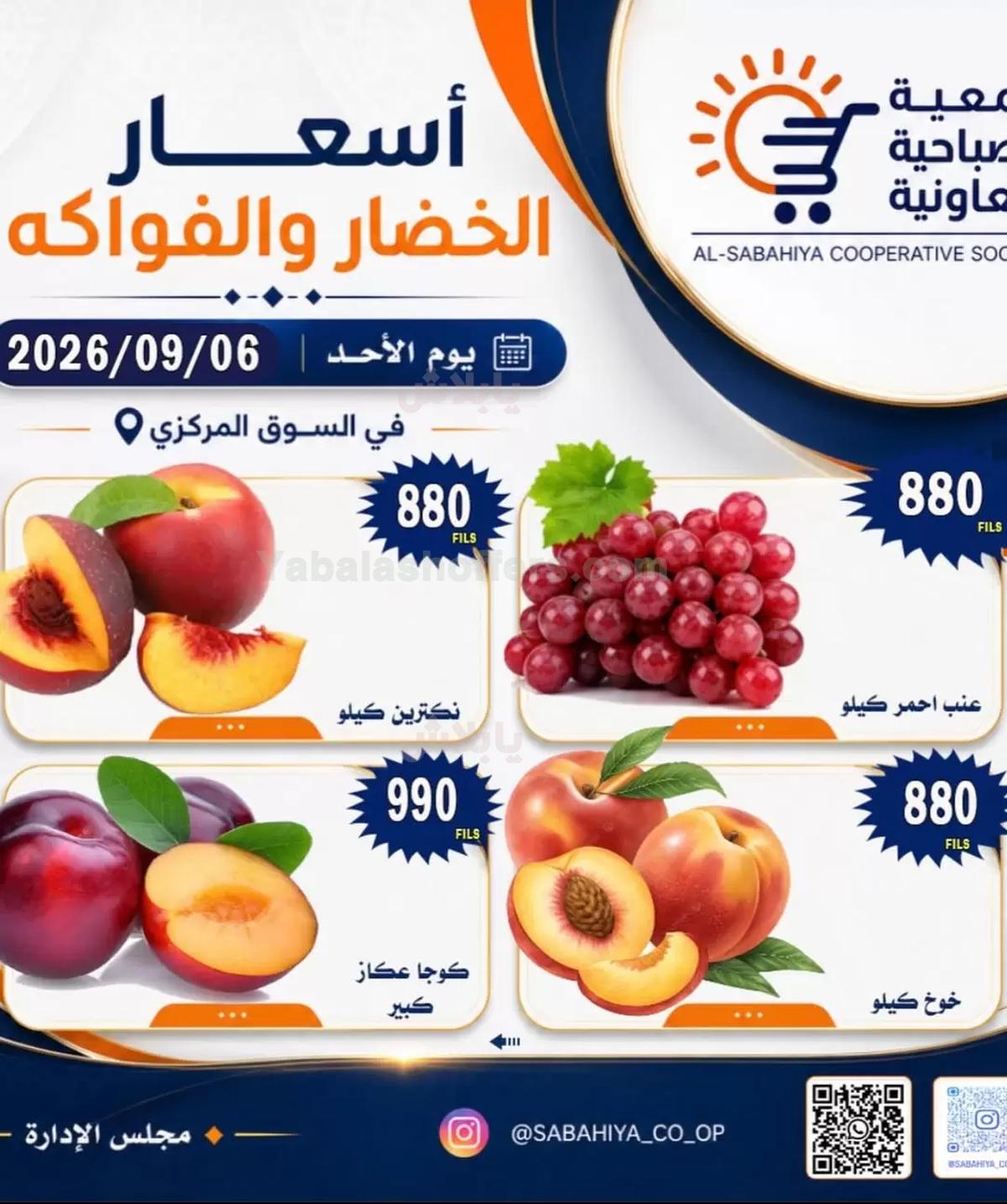 صفحة 10