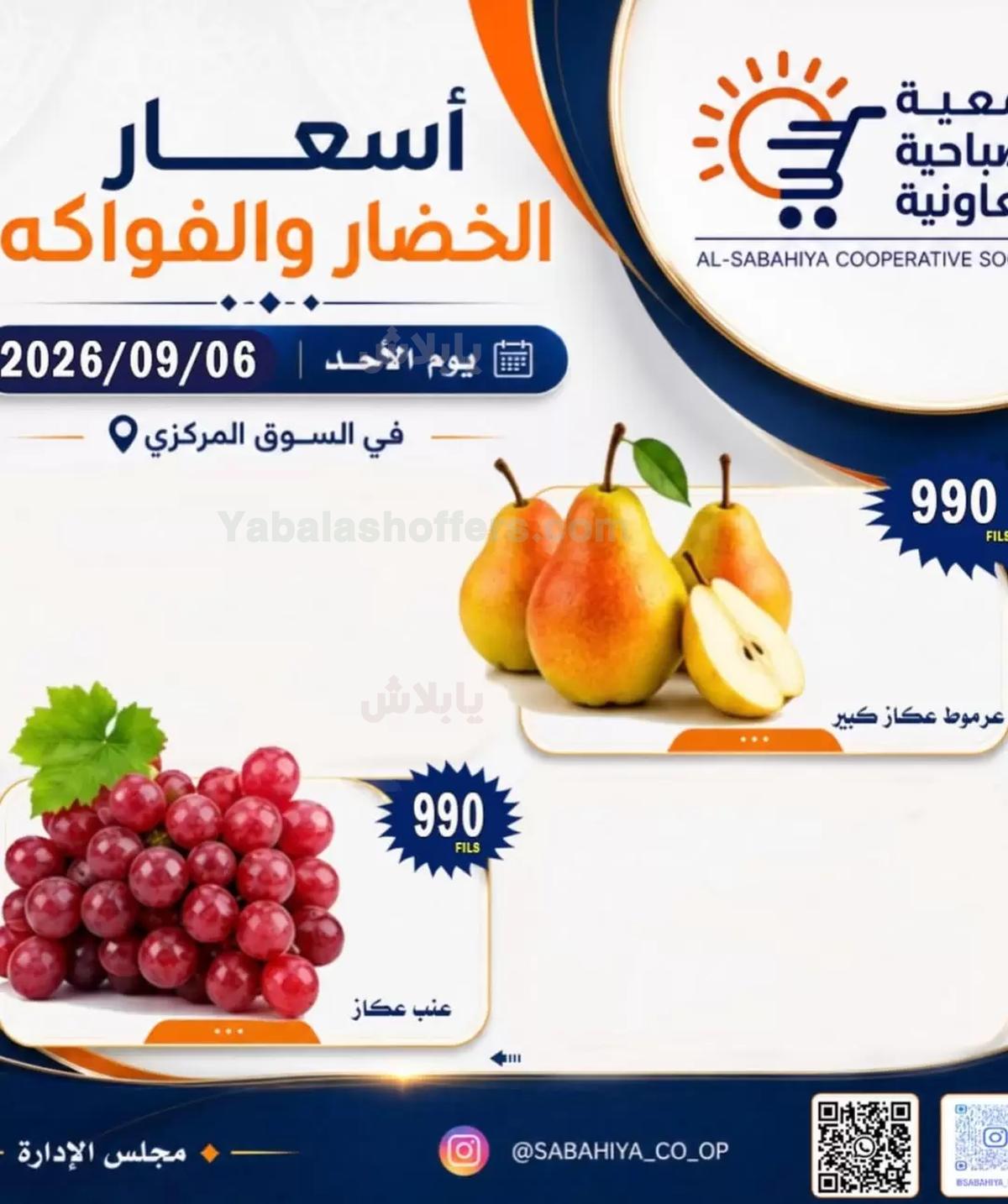 صفحة 11