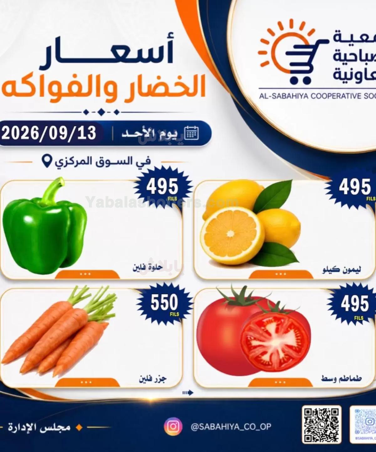 صفحة 3