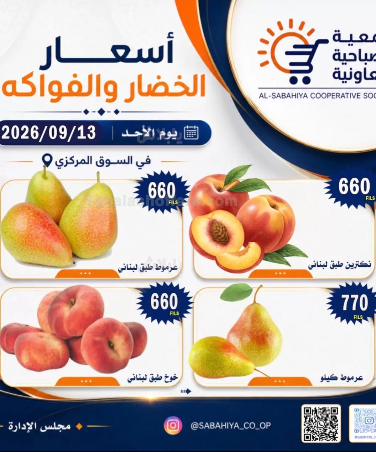 صفحة 8