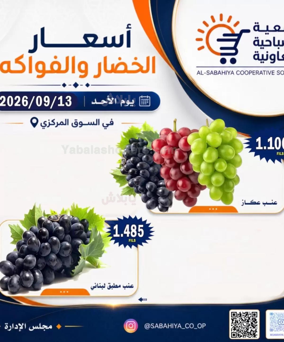 صفحة 11