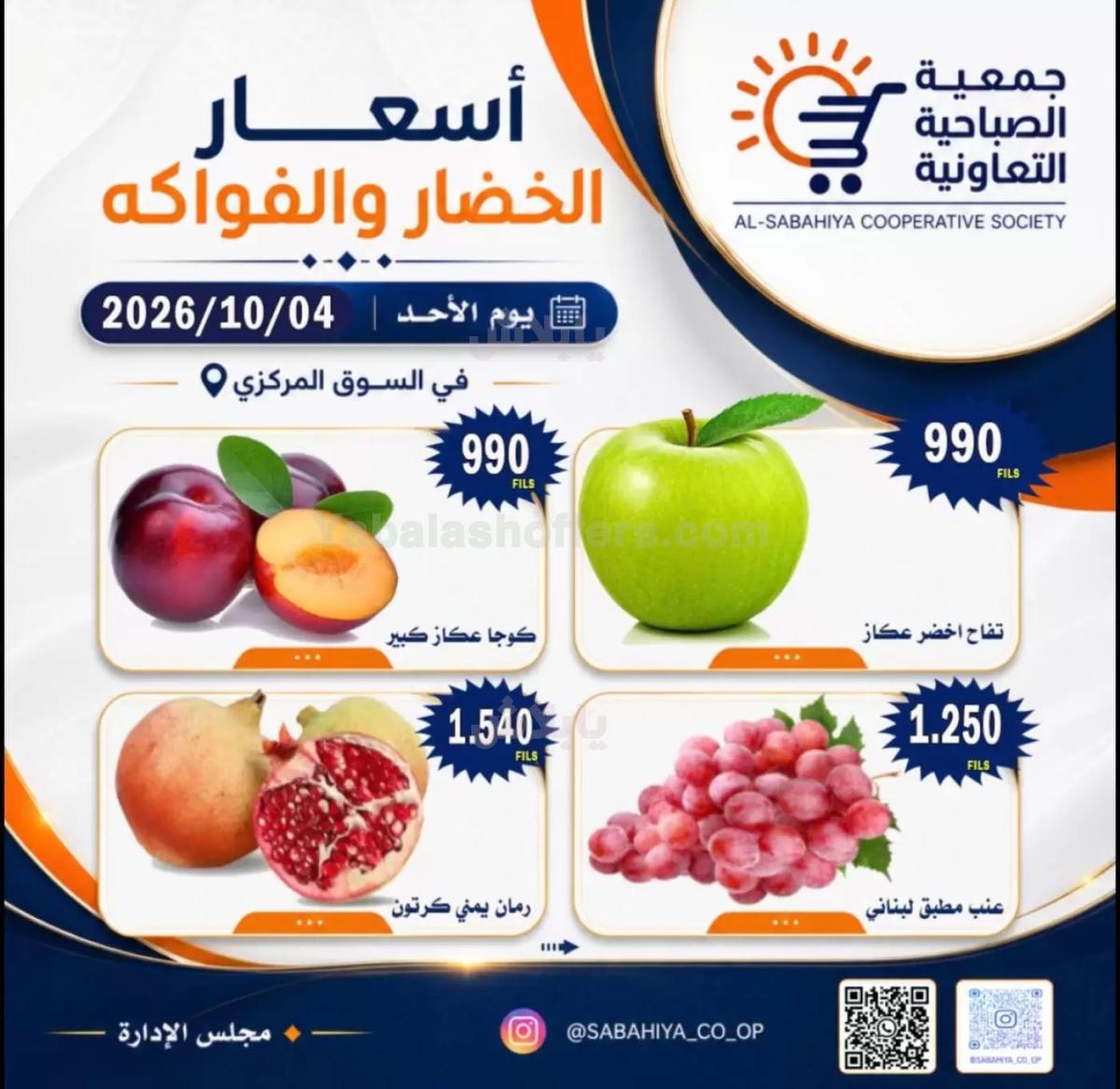 صفحة 11