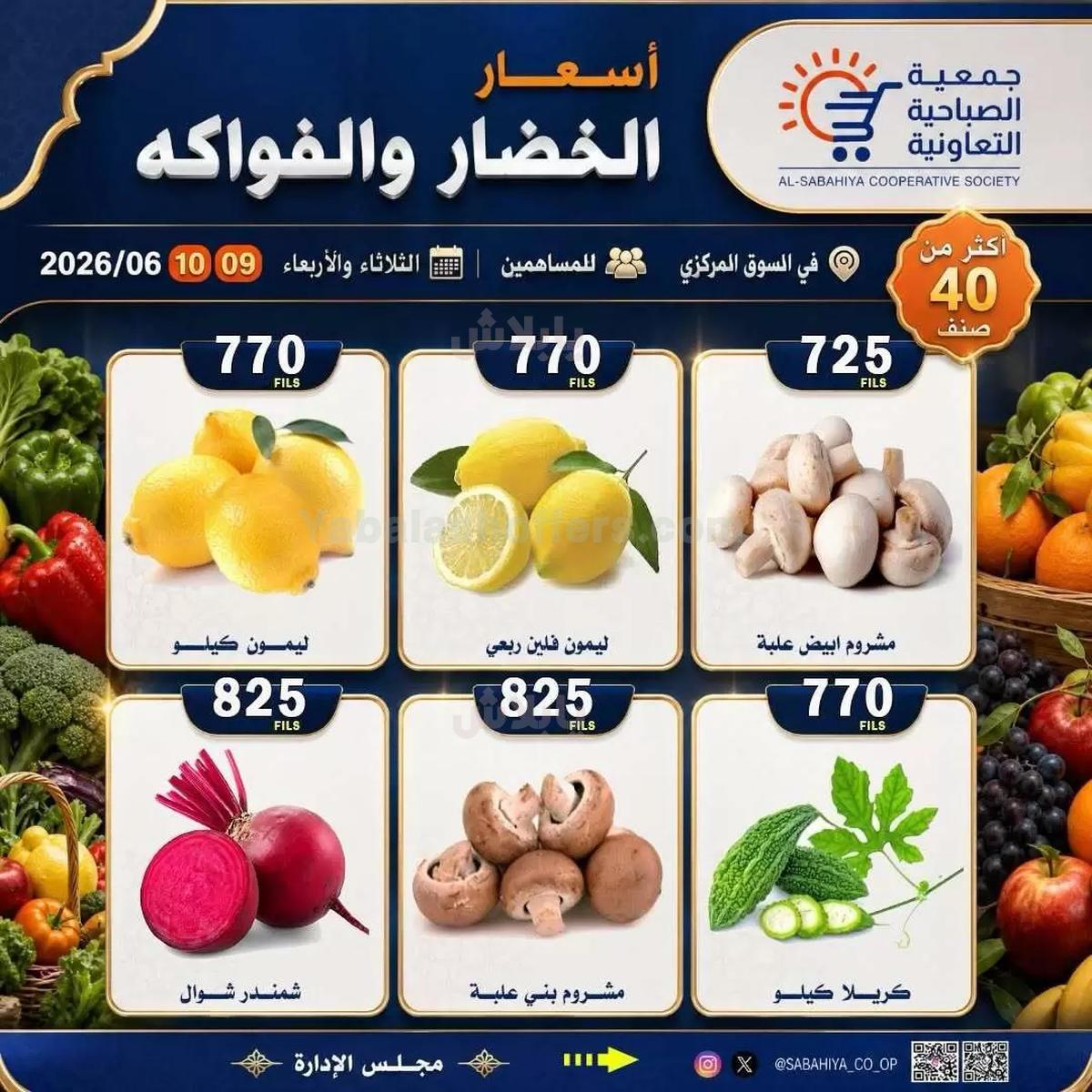 صفحة 4