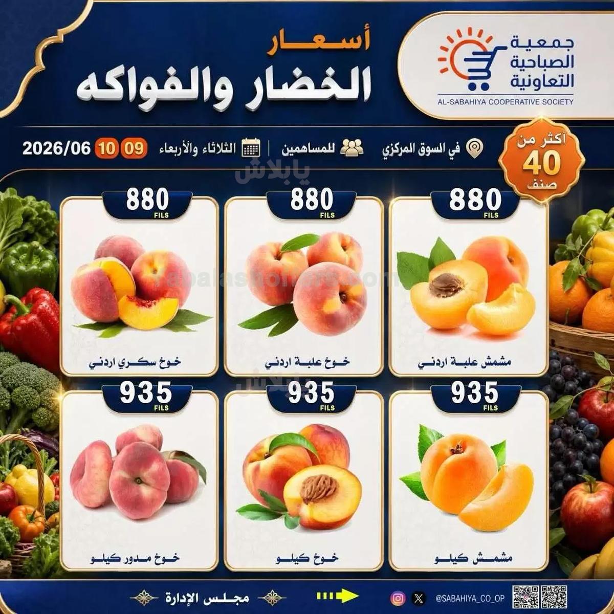 صفحة 7
