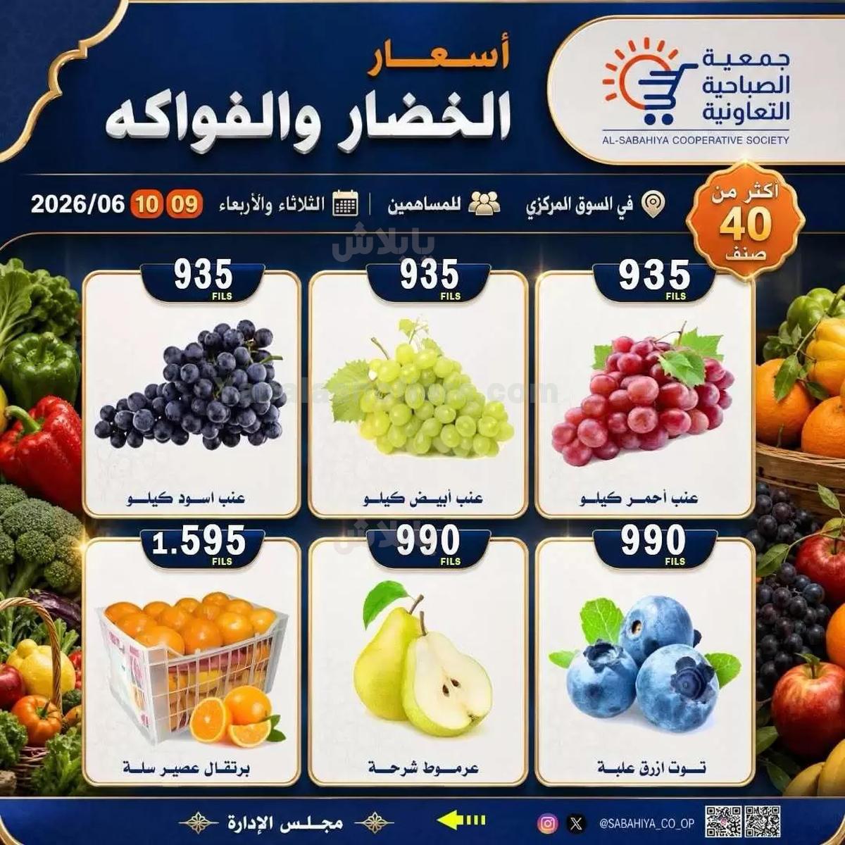 صفحة 8