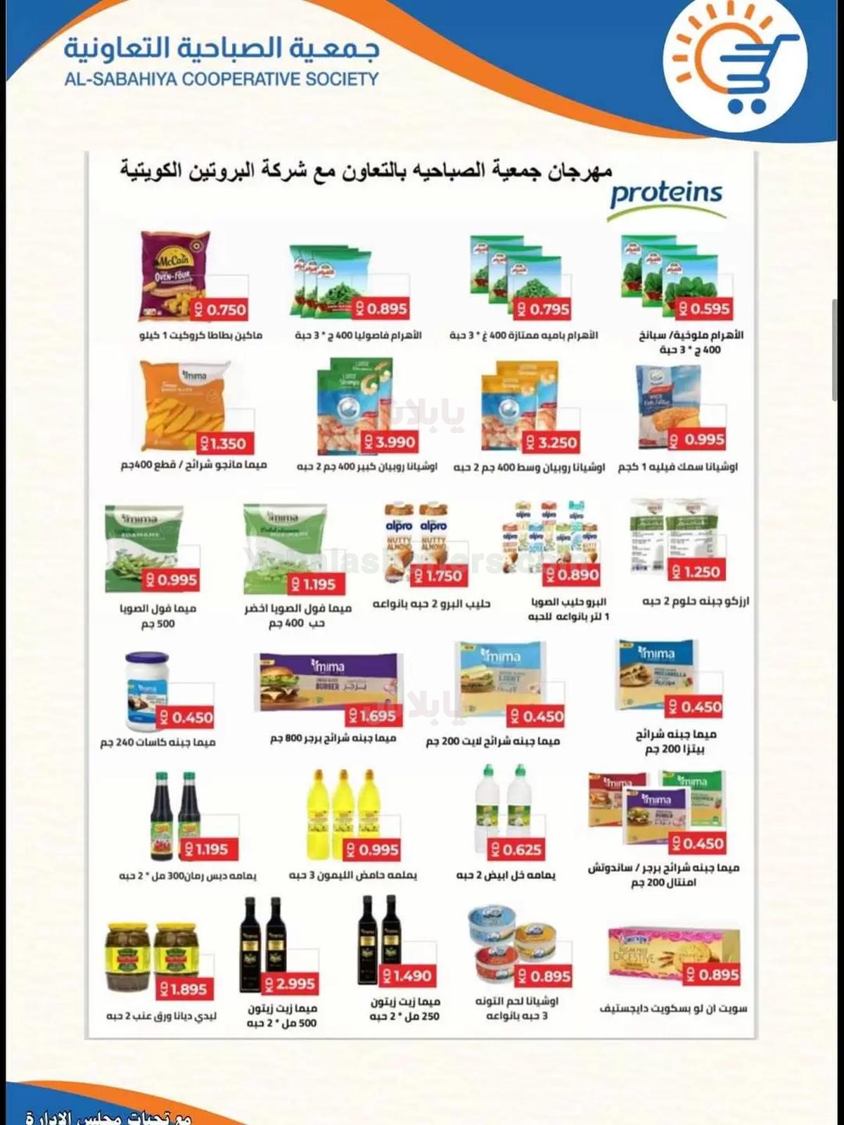 صفحة 10
