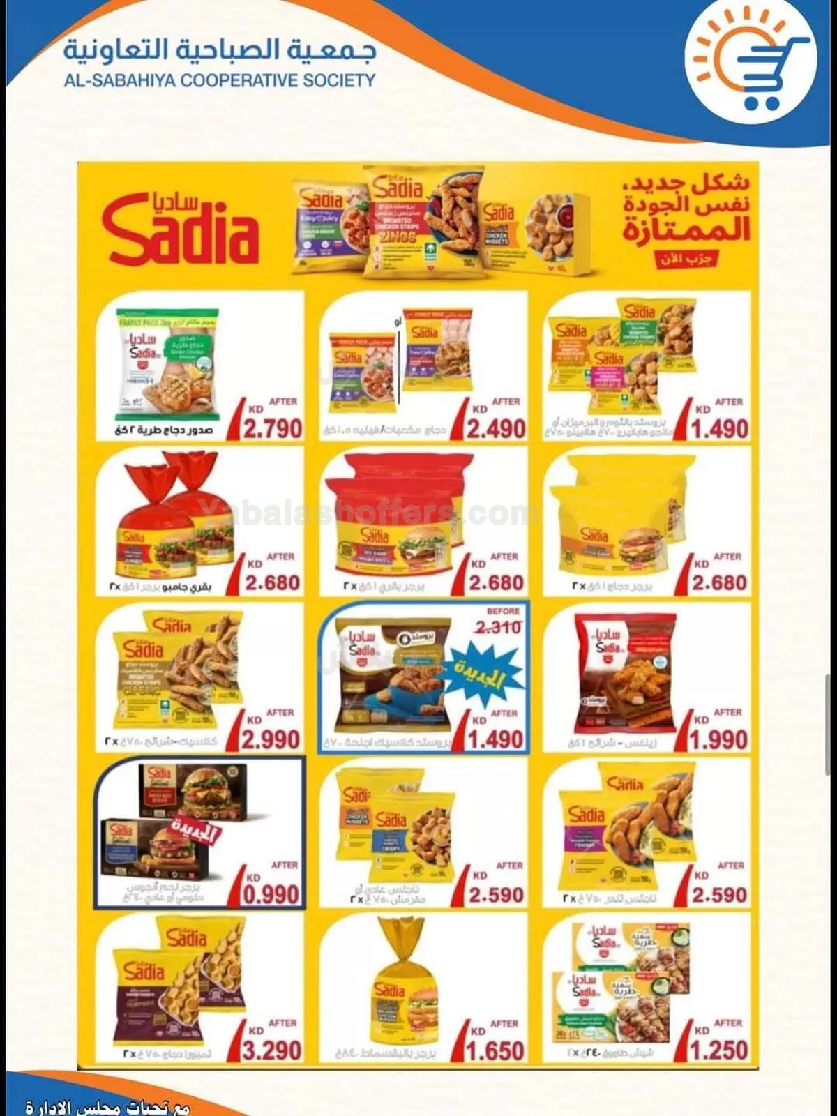 صفحة 16