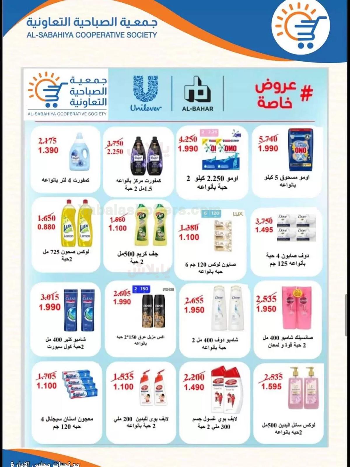 صفحة 17