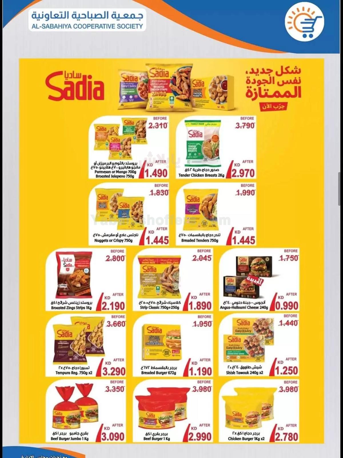 صفحة 14