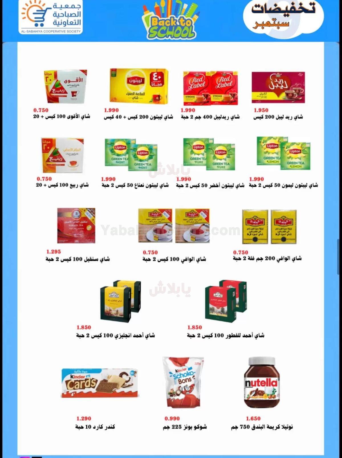 صفحة 17