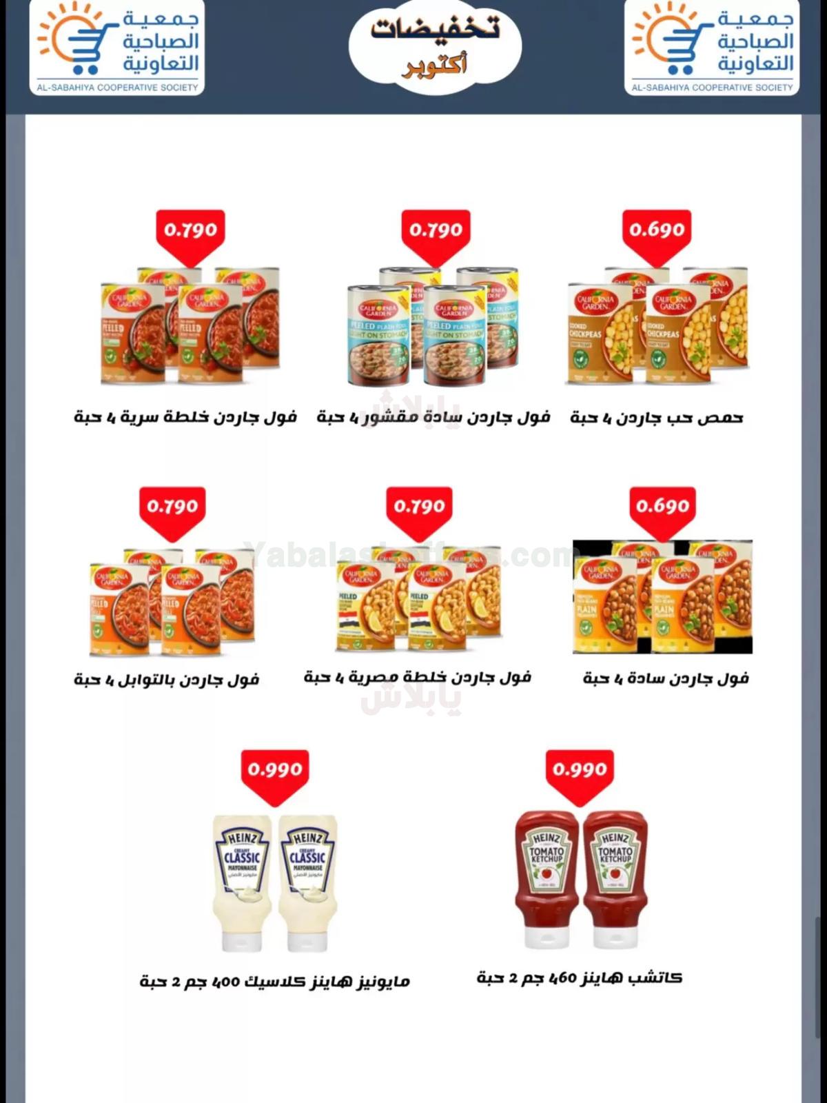 صفحة 16