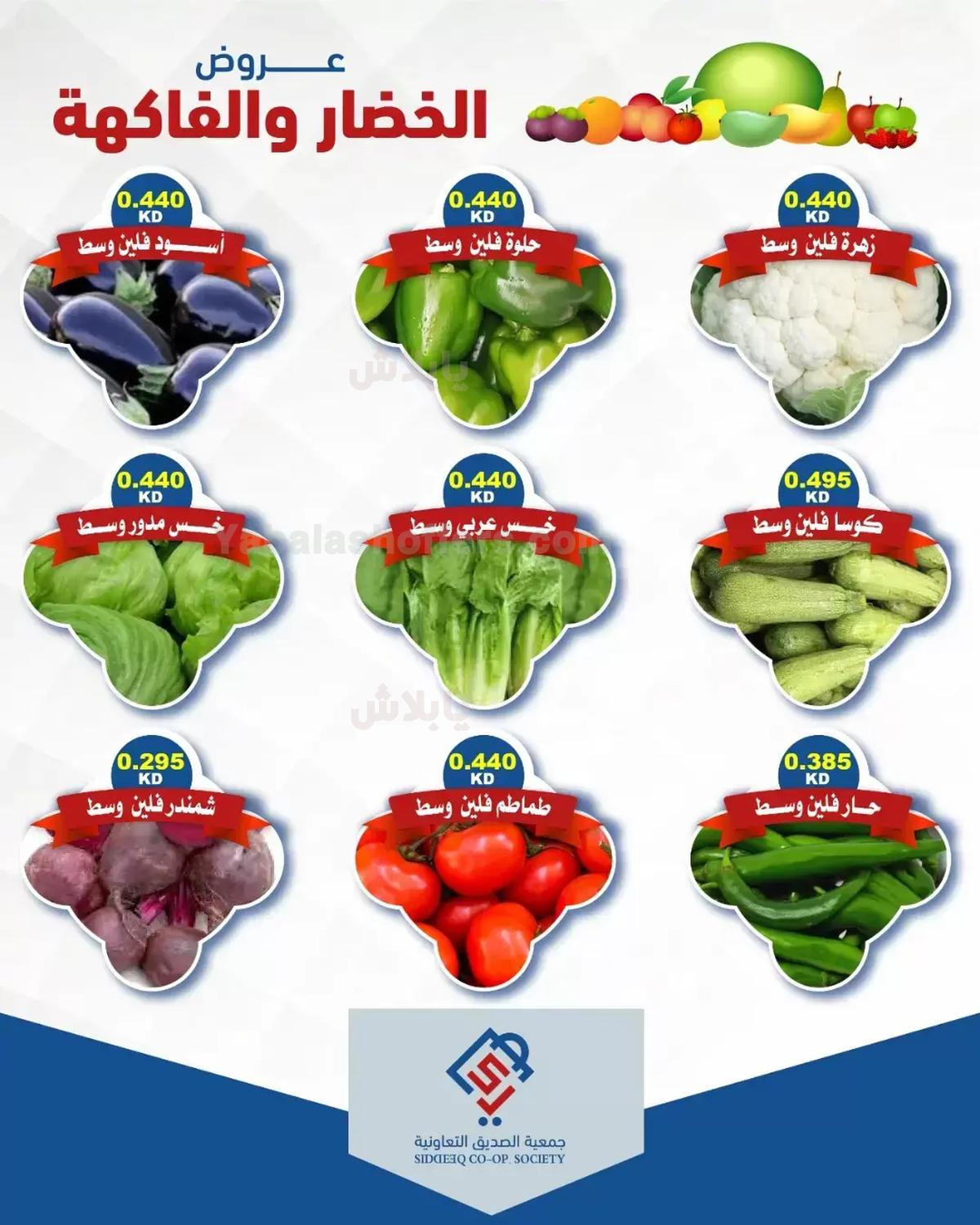 صفحة 3