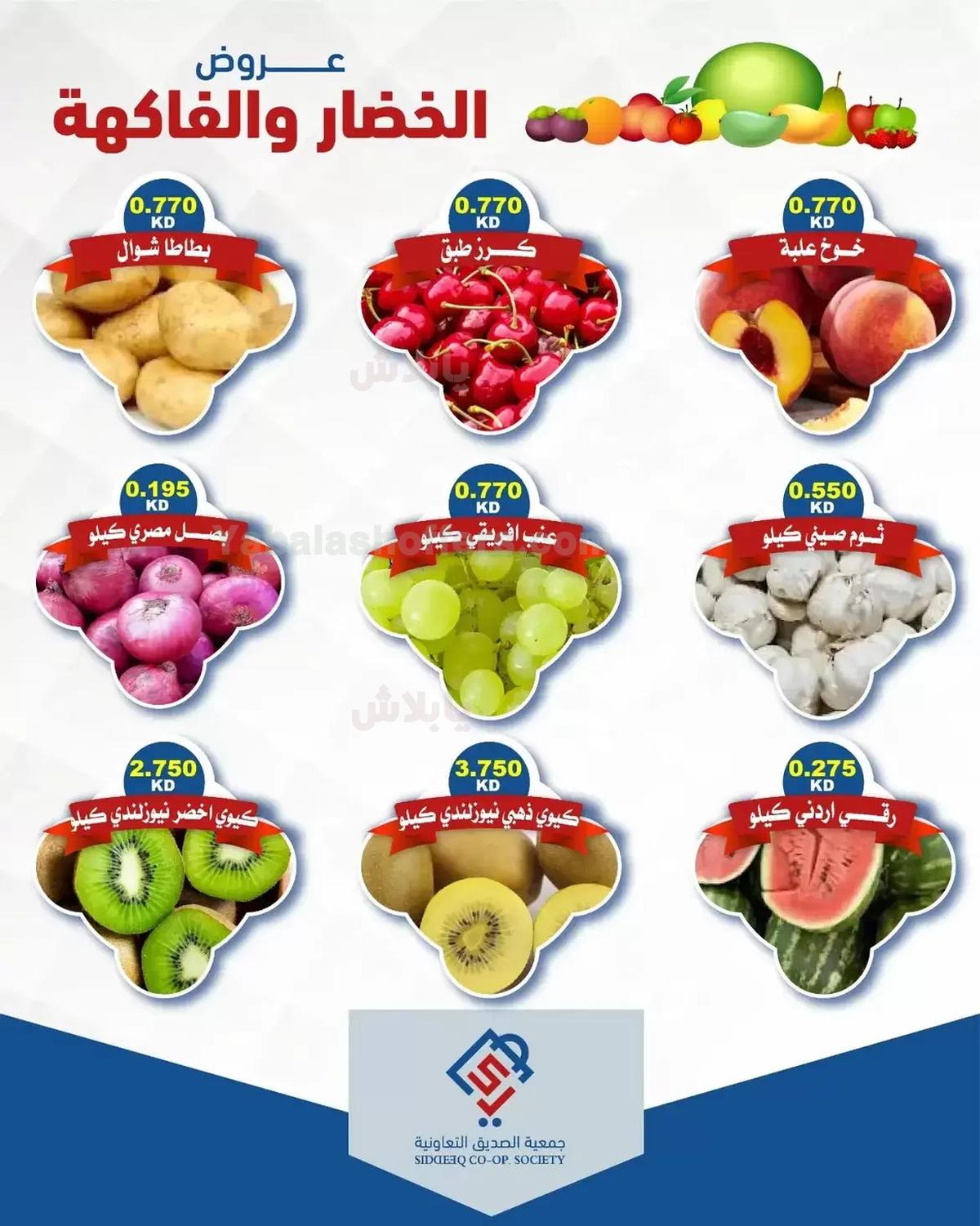 صفحة 3