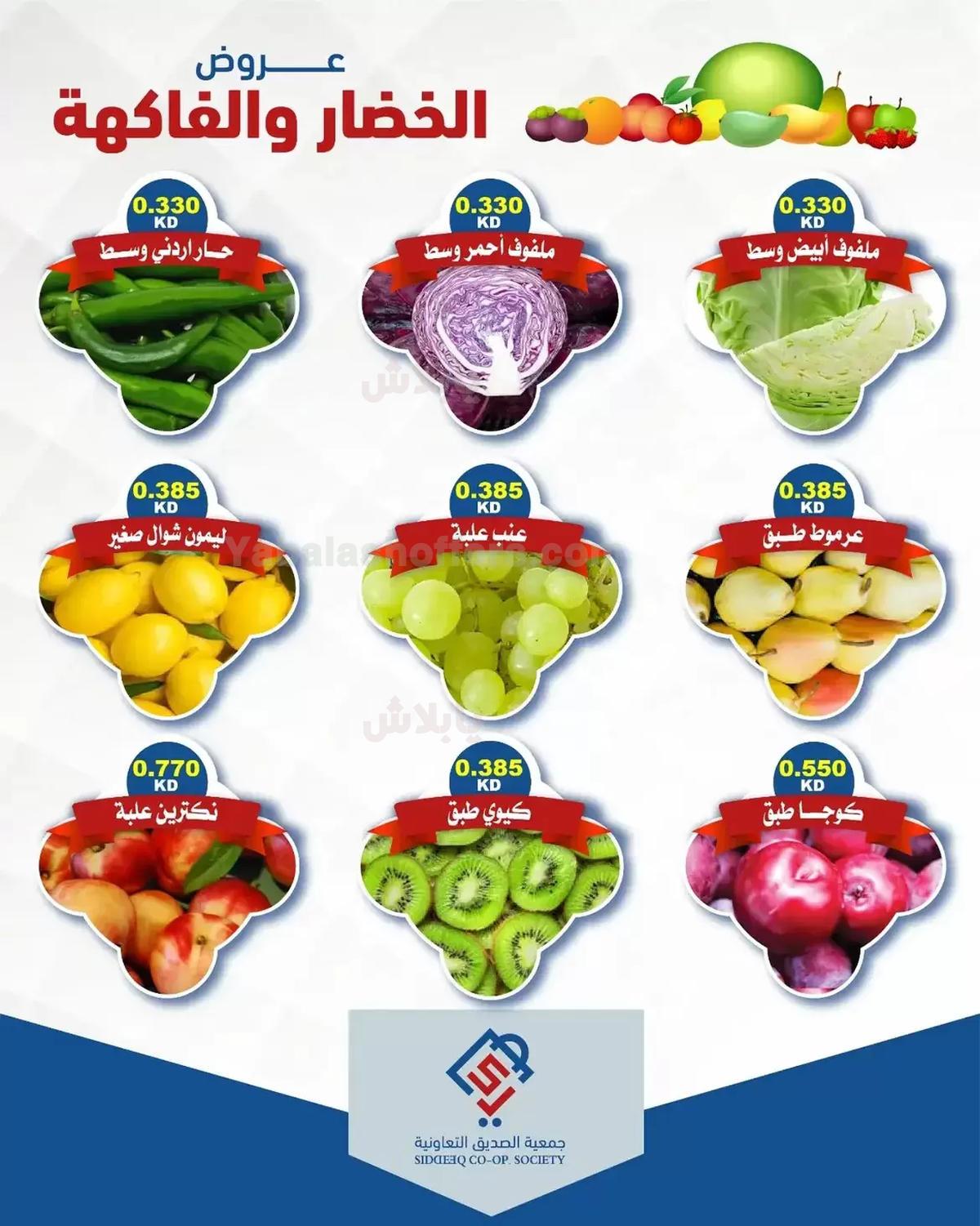 صفحة 4