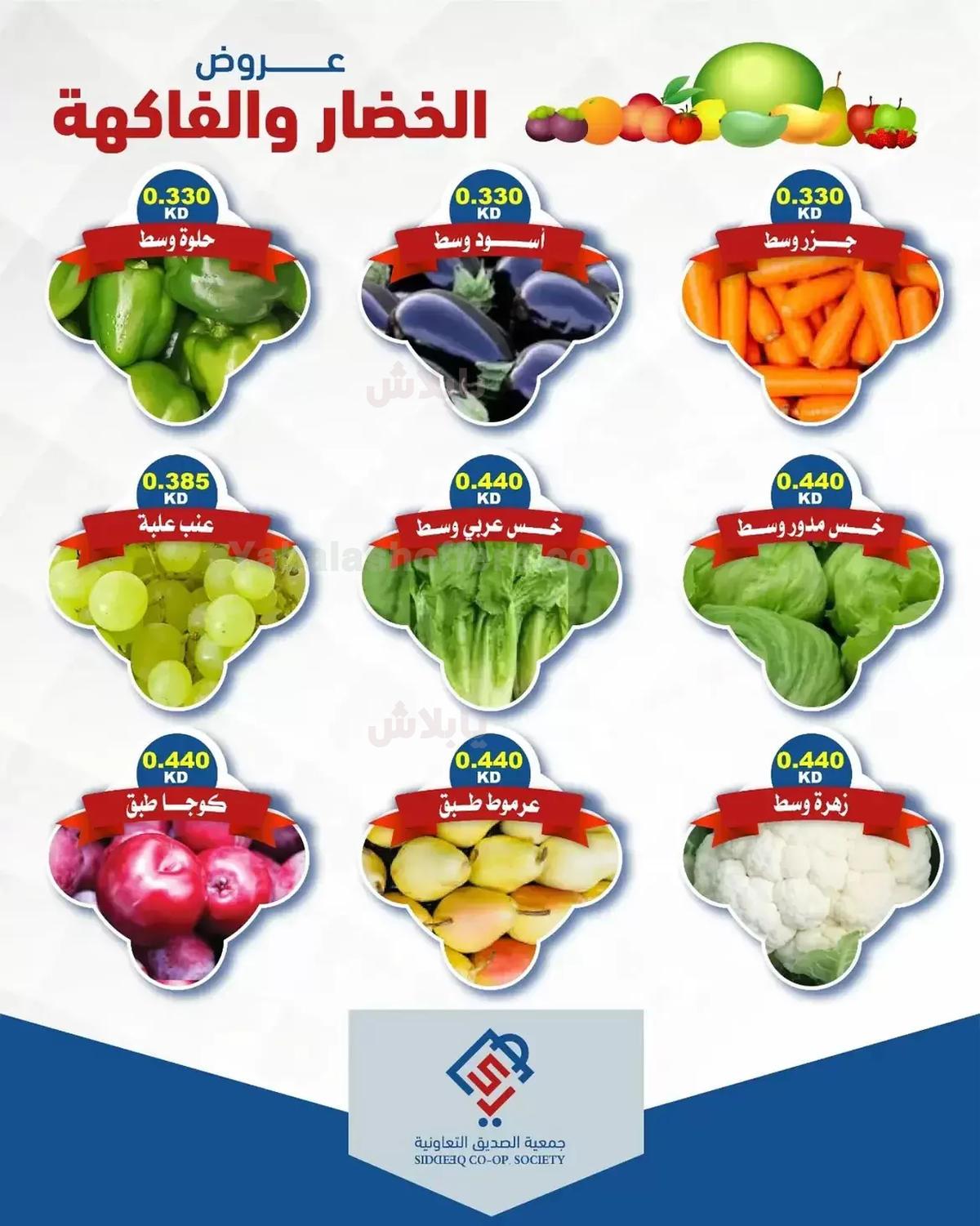 صفحة 3