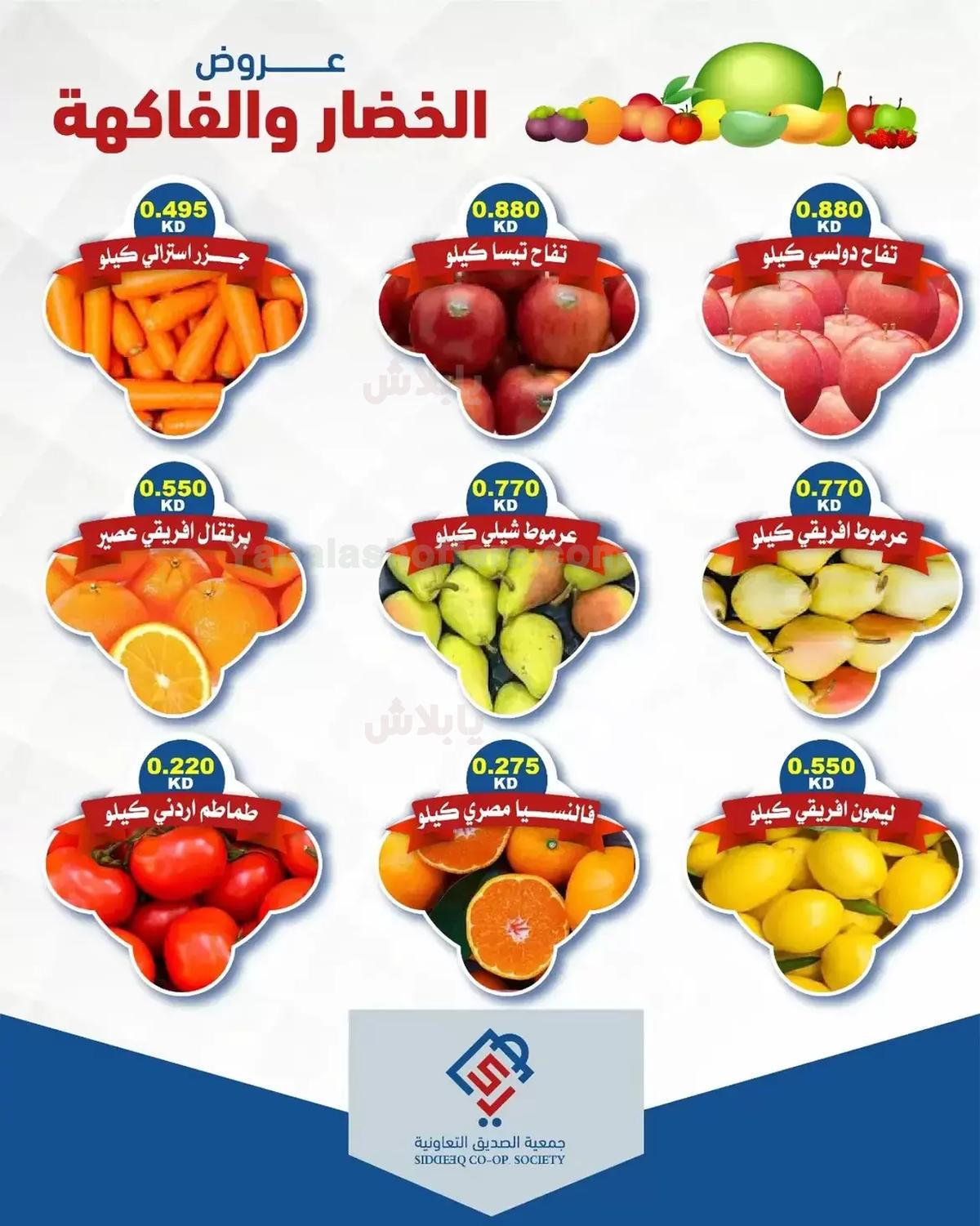 صفحة 3