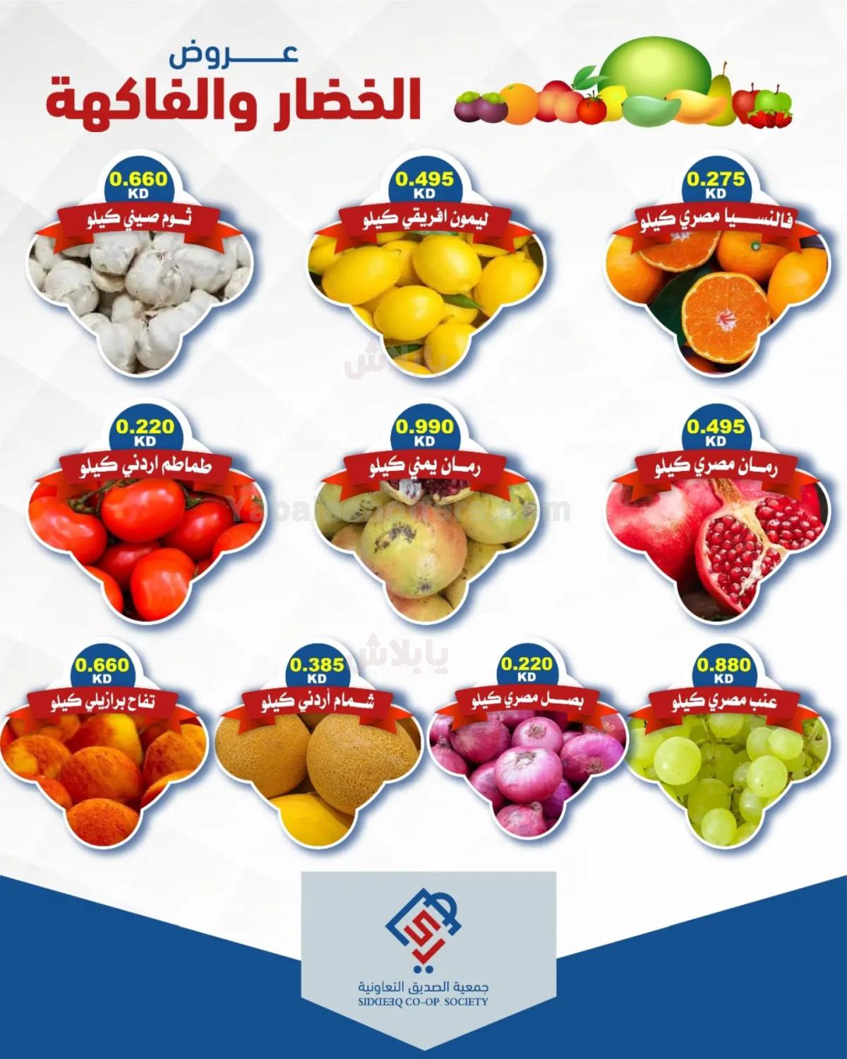 صفحة 3