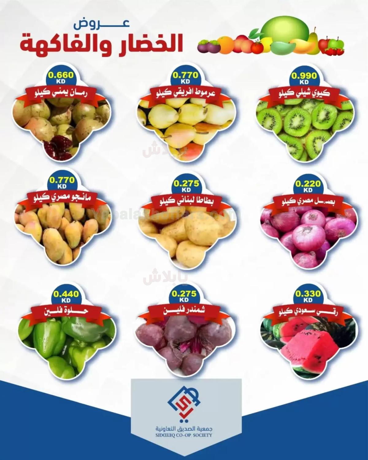 صفحة 3
