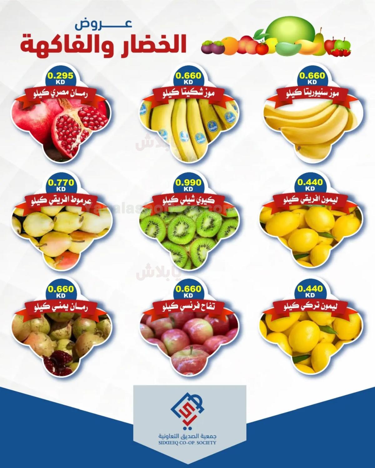 صفحة 2