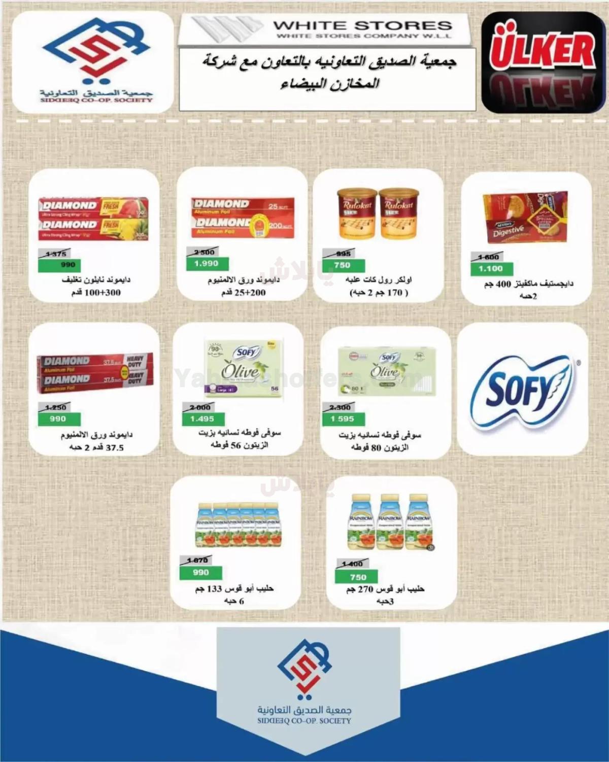 صفحة 13