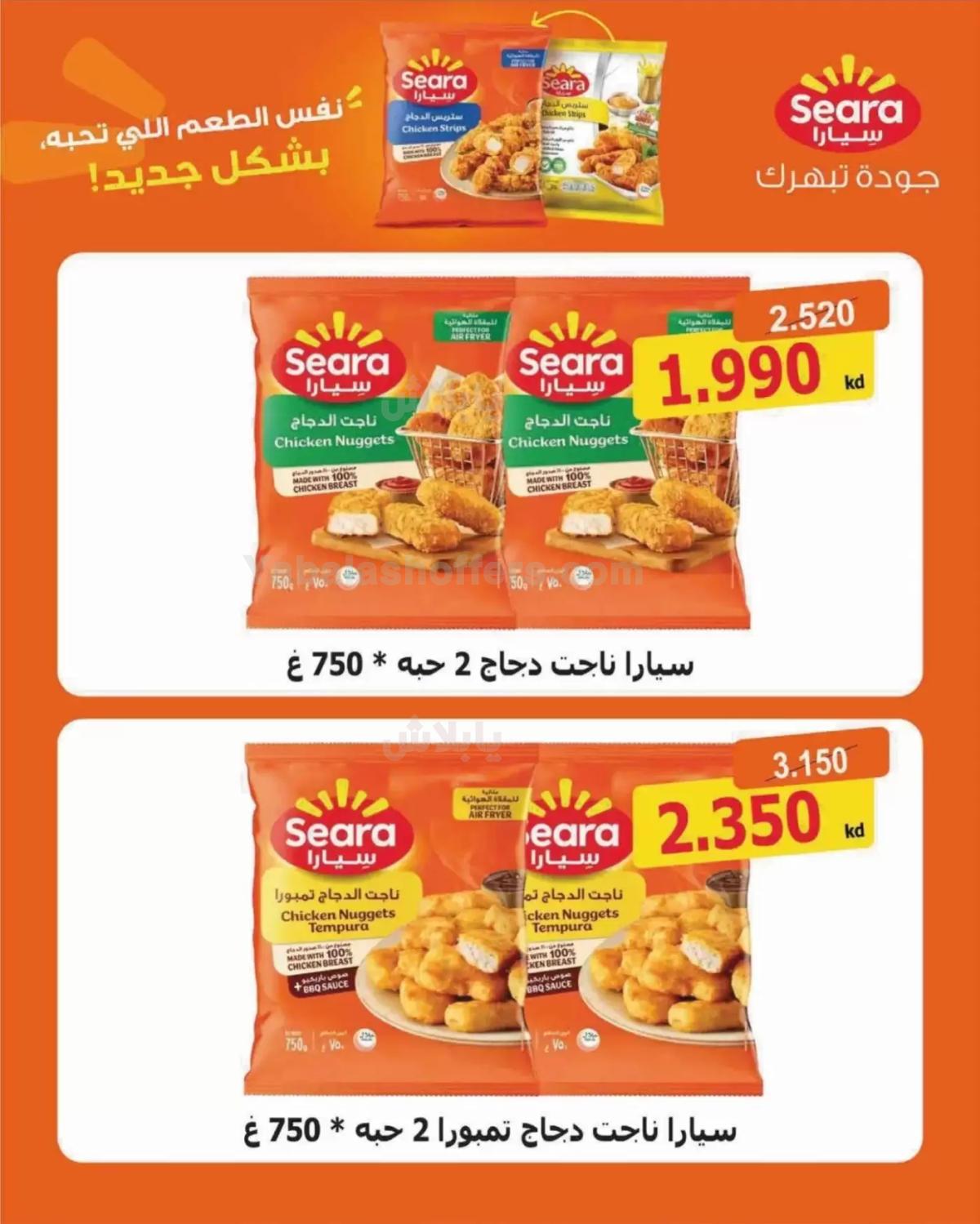 صفحة 3