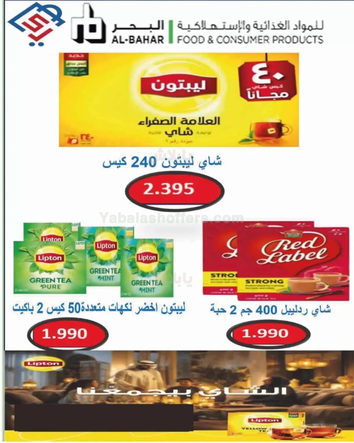 صفحة 19