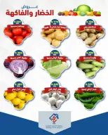 صفحة 8