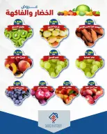 صفحة 9
