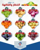 صفحة 10