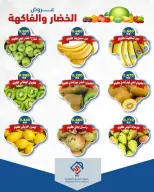 صفحة 11