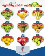 صفحة 9