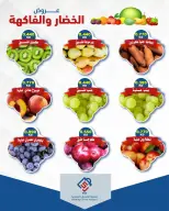 صفحة 11
