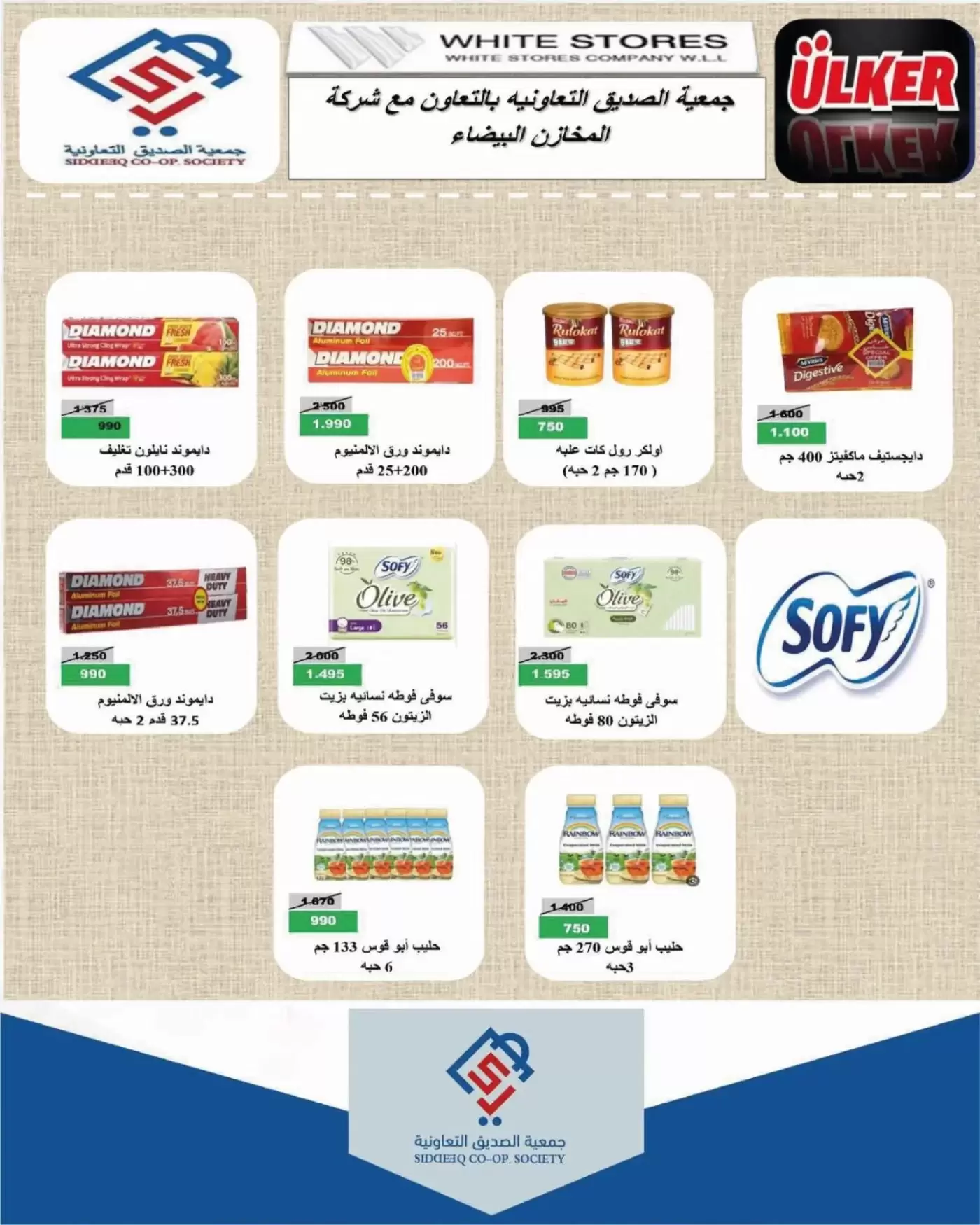 صفحة 13
