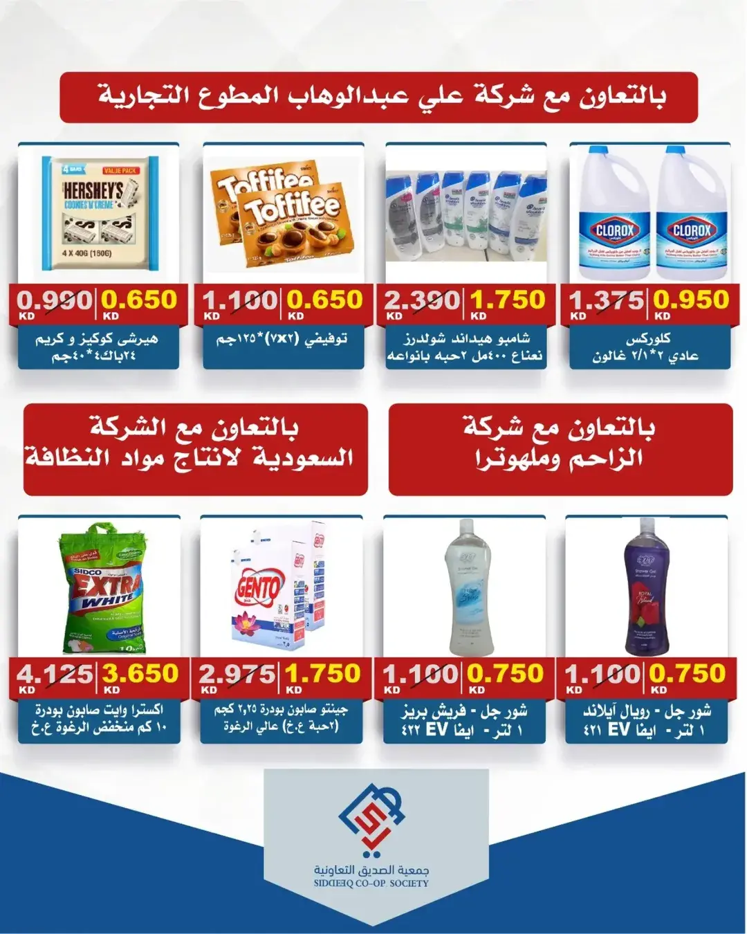 صفحة 17