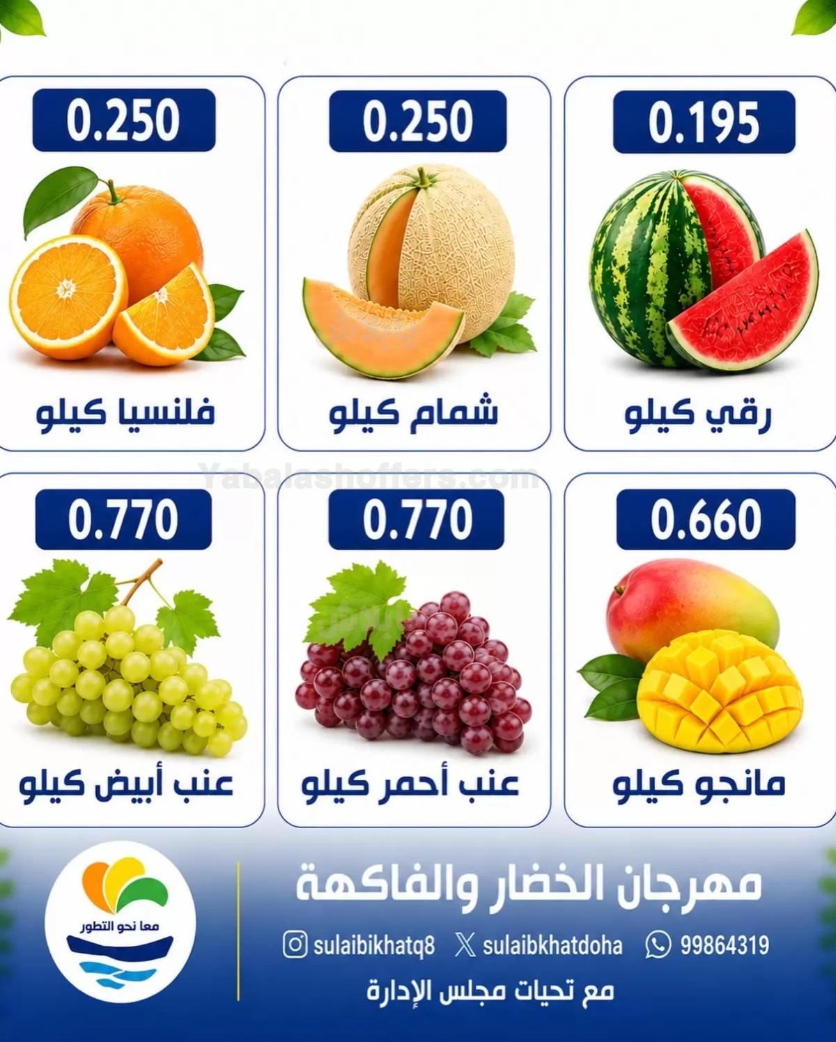 صفحة 3