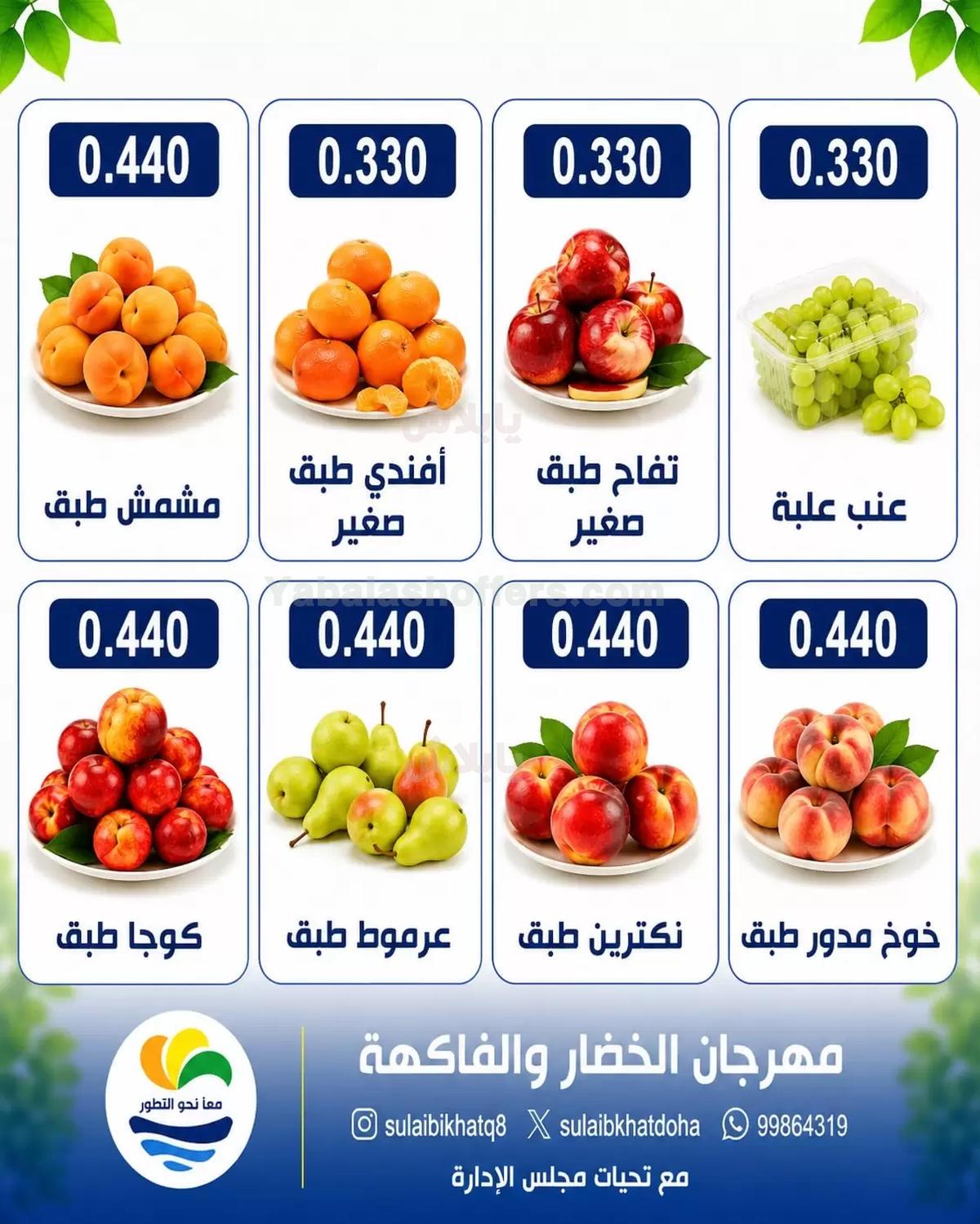 صفحة 4